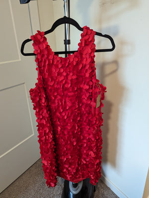 BCBG Red Shift Dress BCBG Red Shift Dress